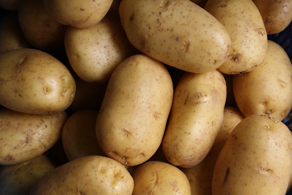 Gele aardappelen op een stapel