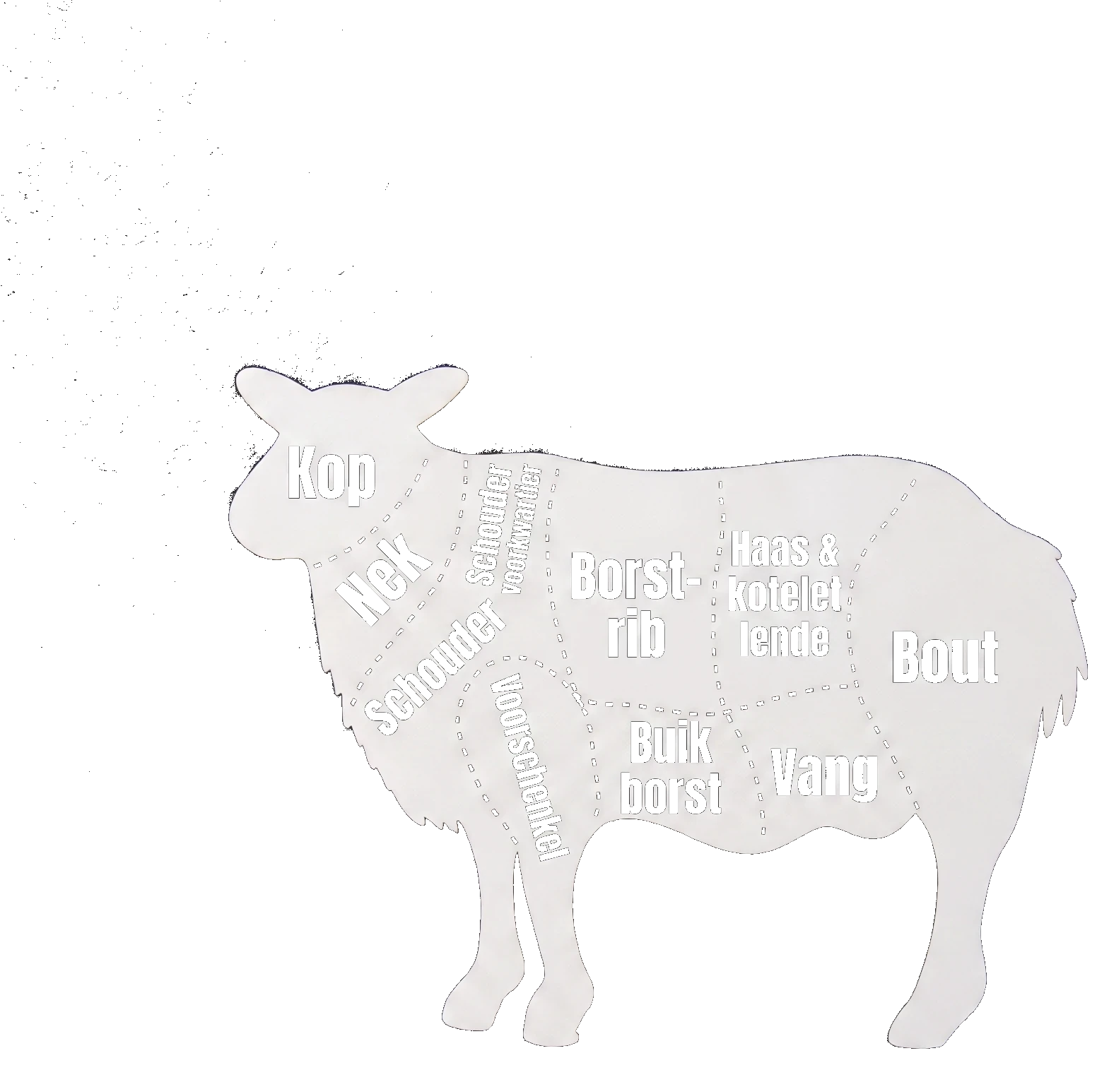 Anatomisch diagram van een lam met deelstukken (Head, Neck, Chuck, Shoulder, Ribs, Breast, Loin, Flank, Leg)